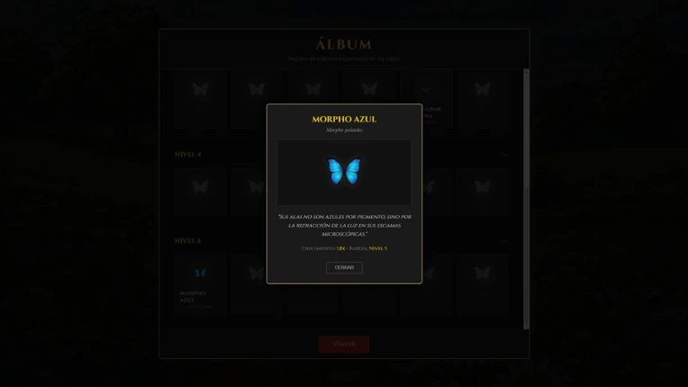 Butterfly Project Image