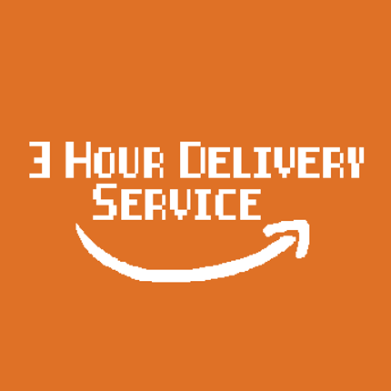 3 Hour Delivery Service Game Cover