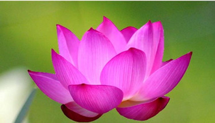 LochlanKyte_Prototypes screenshot