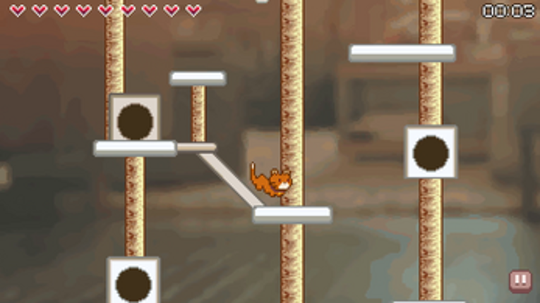 Kitten Catography screenshot