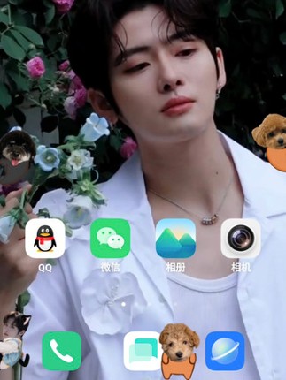 Shimeji Desktop Pet——RIKIMARU screenshot