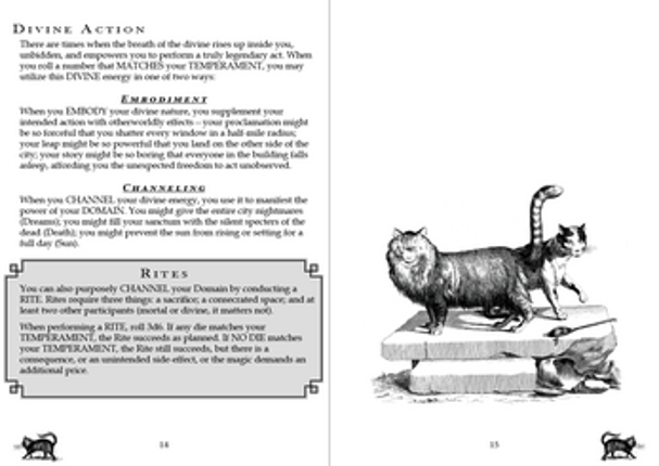 A Council of Cats Image