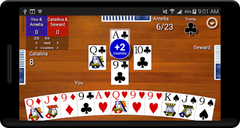 Pinochle Classic screenshot