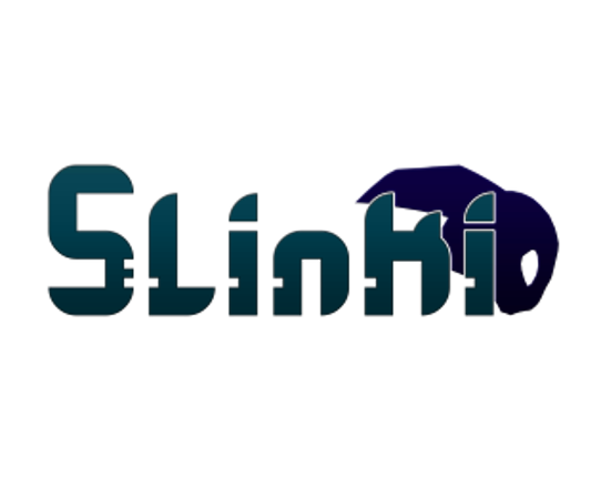 Slinki Game Cover