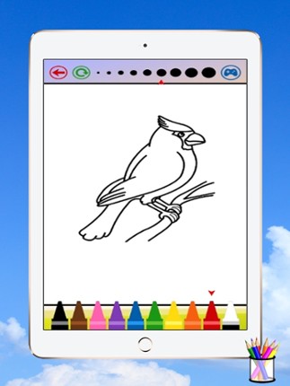 Bird Coloring Book For Kids Image