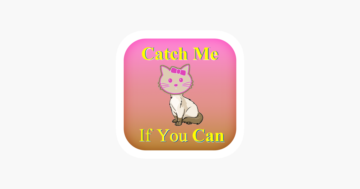 Games like Catch Me if You Can??