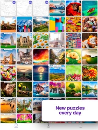 Colors Puzzles screenshot