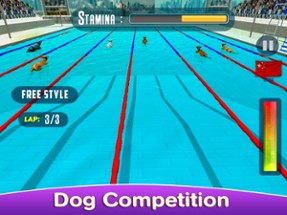 Dog Swimming Race Image