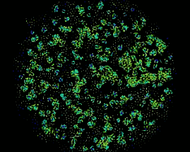 Primordial Particle System #Exp 9 Image