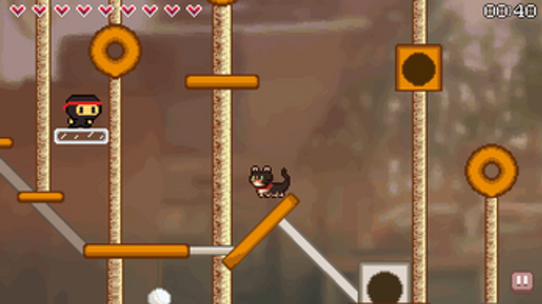 Kitten Catography Image