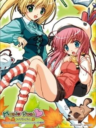 Maple Colors H Image