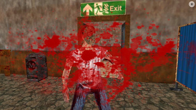 Scary Granny screenshot