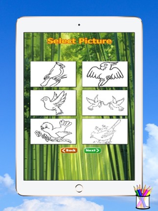 Bird Coloring Book For Kids Image