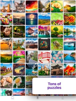 Colors Puzzles Image