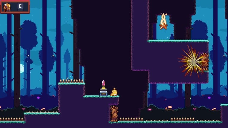 The Cursed Frog Image