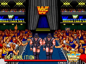 WWF WrestleFest Image