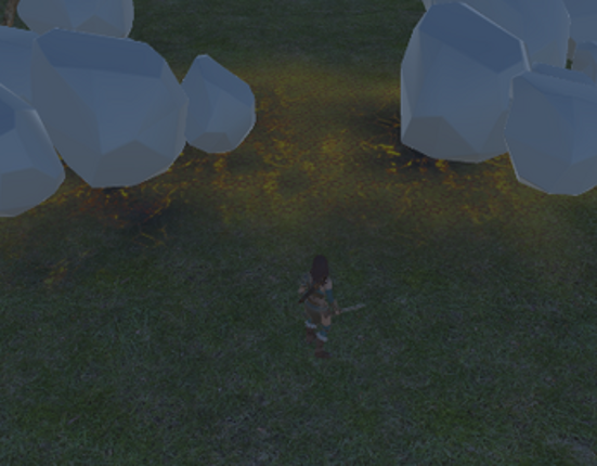 Animus Image
