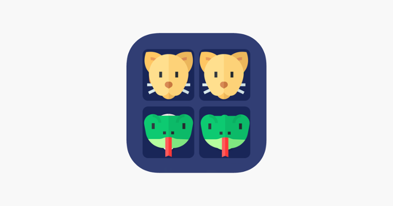 Brain Game. Picture Match 2021 Game Cover