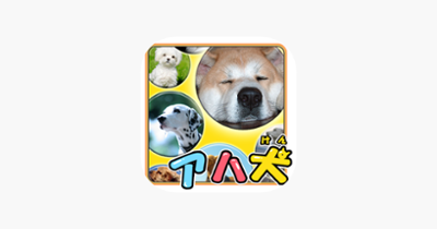 Brain Training - Aha dog picture book Image