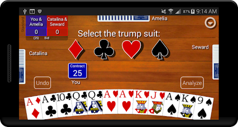 Pinochle Classic screenshot