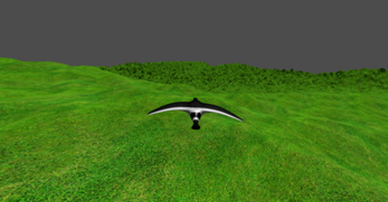 birdSimulator screenshot