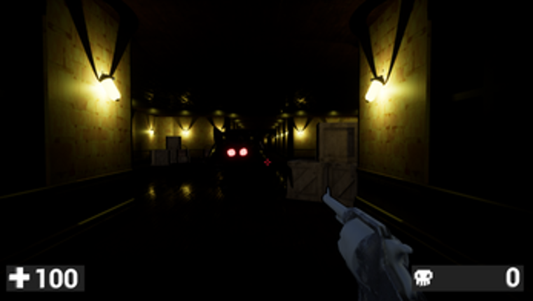 Shadow Asylum Image
