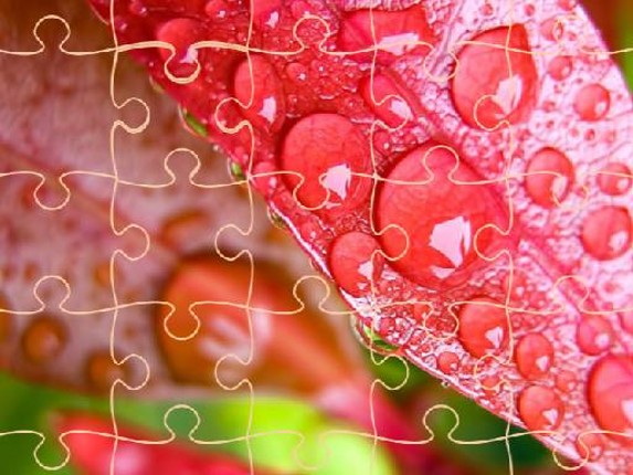 Jigsaw Puzzles Image
