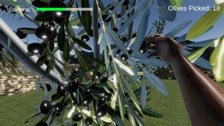 Picking Olives Image