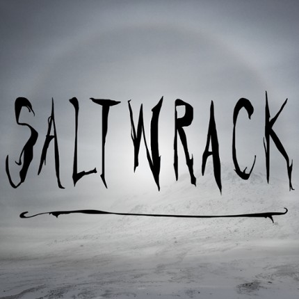 Saltwrack Image