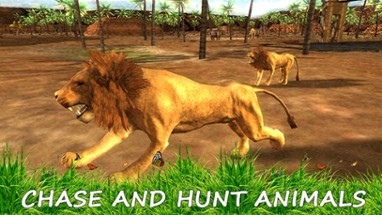 Wild Lion Simulator - Jungle Animal Hunter Image