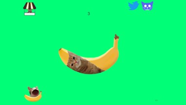 Banana Cat Image