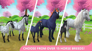 Star Stable Horses Image