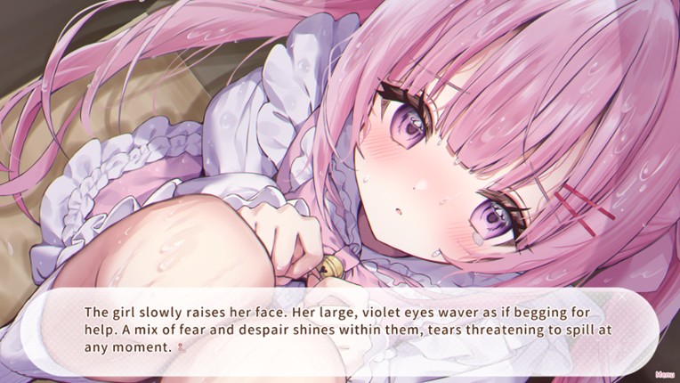 Nekomimi Days ~365 Days with You~ Image