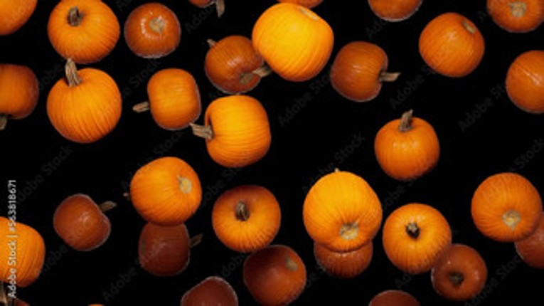 Pumpkin's Adventurous Adventure in the Stock Pumpkin Patch! Image