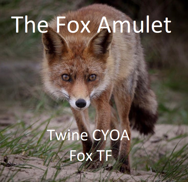 Games like The fox amulet