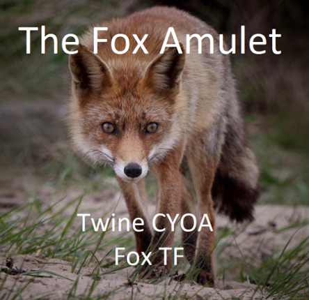 The fox amulet Image