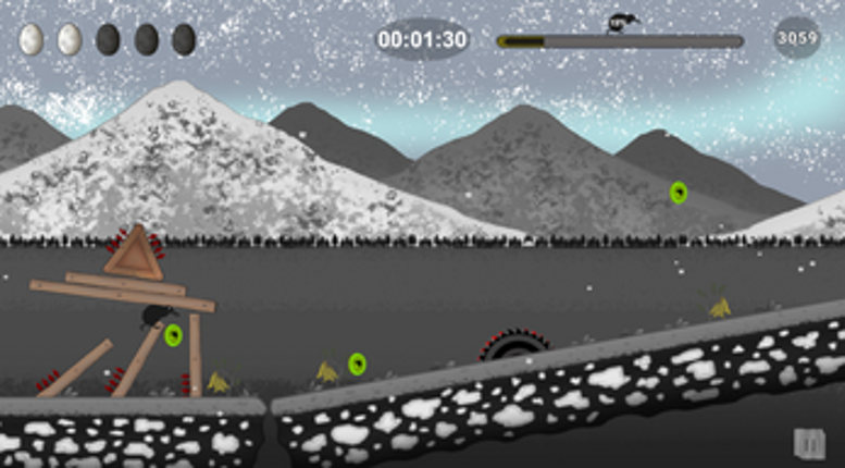 The last of kiwis Image