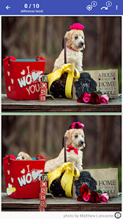 Find The Difference - Spot It screenshot