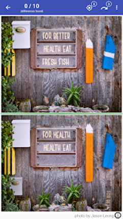 Find The Difference - Spot It Image