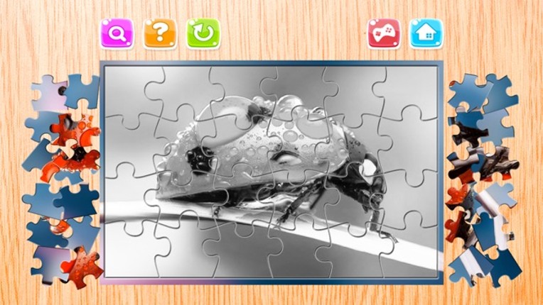 Nature Flowers and Bug Jigsaw Puzzle for Adults screenshot