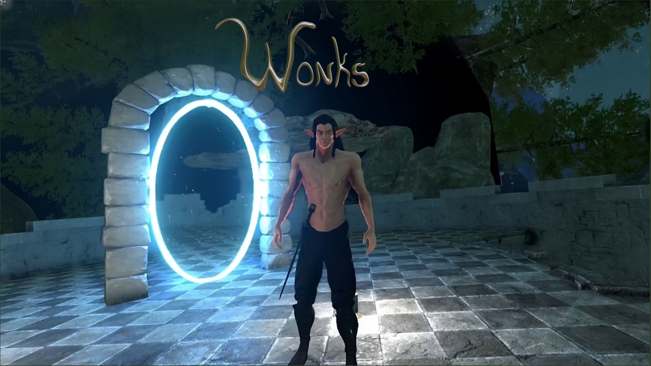 Games like Wonks the Half-Elf!