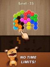 Block Hexa Puzzle: Wooden Game Image