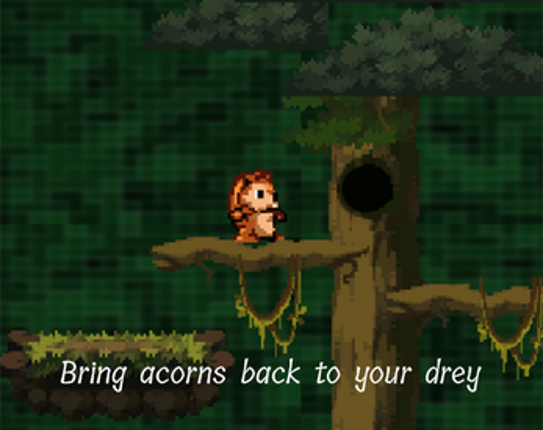 Ziggy's Acorns screenshot