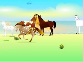 Jumpy Horse Image