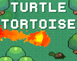 Turtle Tortoise Image