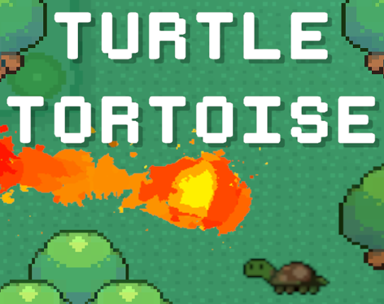 Turtle Tortoise Game Cover