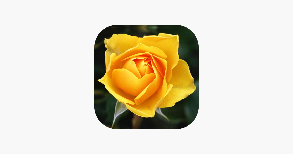 Games like Fairytale Mosaics. Beauty and the Beast's puzzles