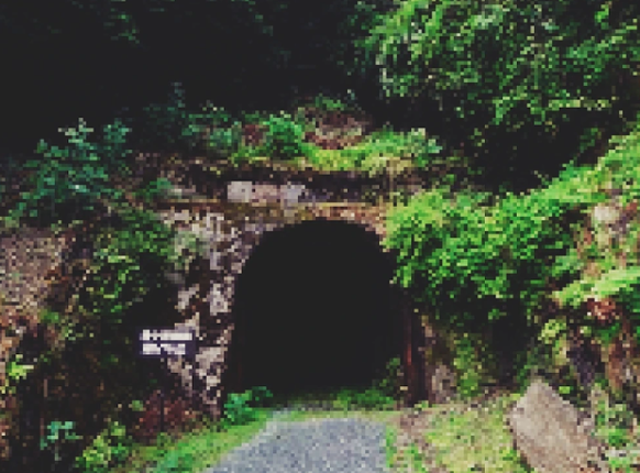 Jack of Diamonds Image