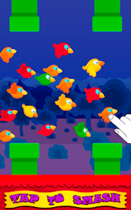 Birds Game - Fun Smash Image