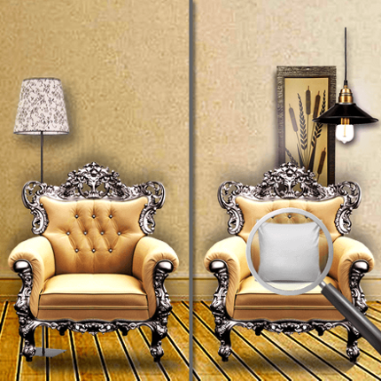 Find the differences Image